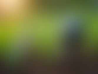 Transform Your Backyard with Smart Gardening Solutions