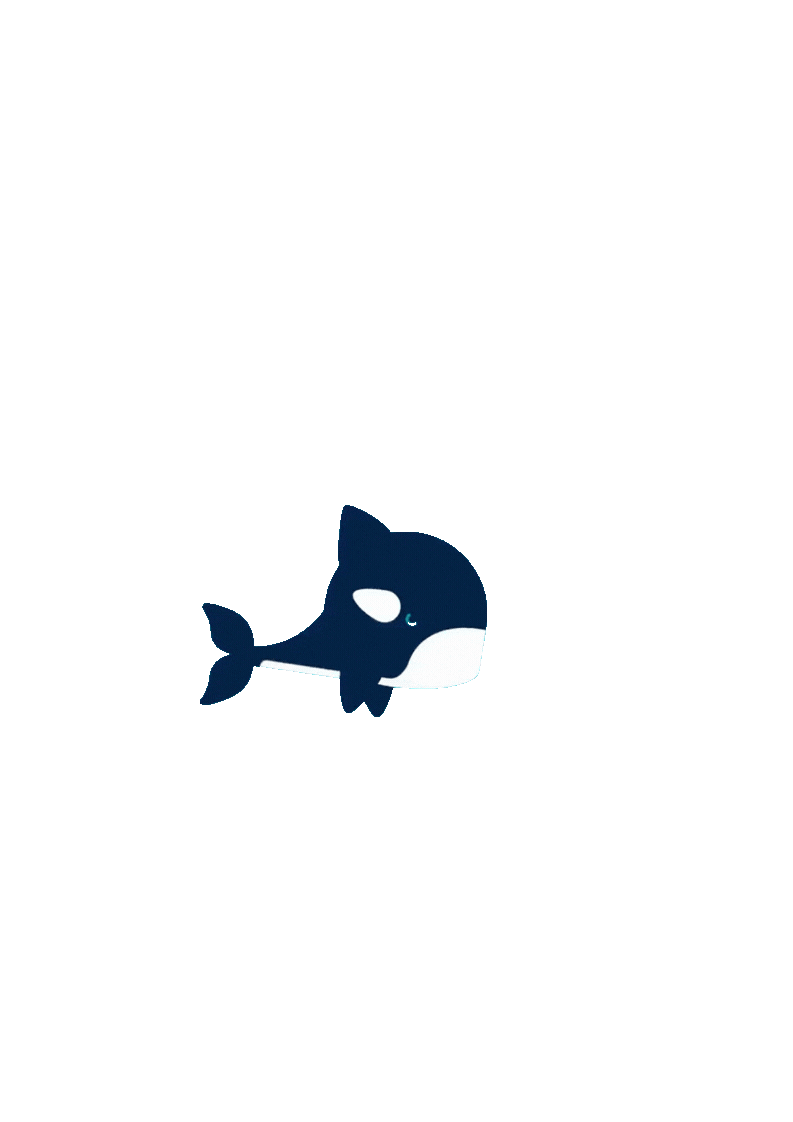 orca swimming back and forth