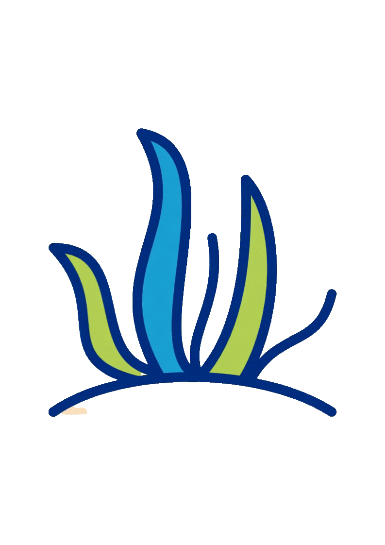 seaweed animation