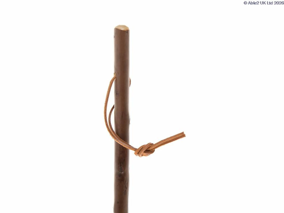 Chestnut-Hiking-Stave-WSCO-RS0108S-2.jpg