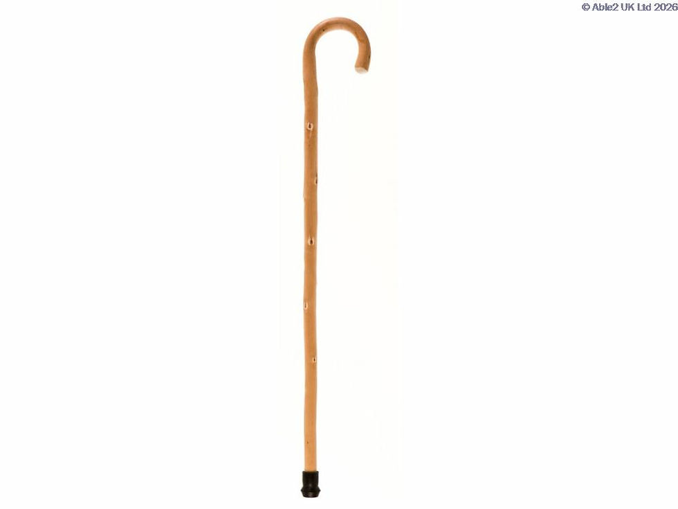 Chestnut-Stick-Crook-Handle-Walking-Stick-WSCH-M1015F-2.jpg