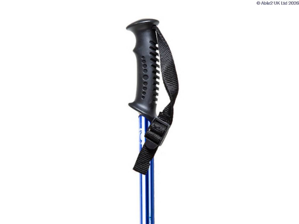 Trekking-Poles-WSCO-TPBK.jpg
