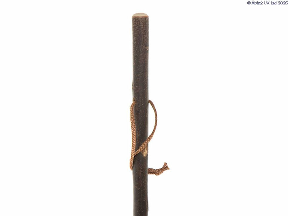 Chestnut-Hiking-Stave-WSCO-RS0108B.jpg