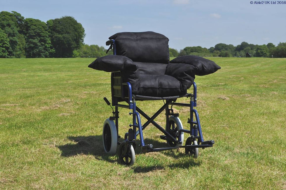 Harley-T-Shaped-Cushion-SP46556-BK.jpg