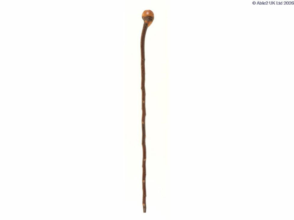 Apple-Knob-Stick-WSKB-RS2100.jpg