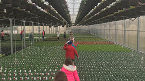 Elementary: Lower El - May 2019