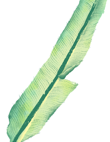 Bananenblad