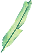 Feuille de banane