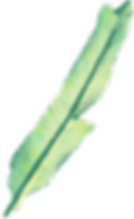 Bananenblatt
