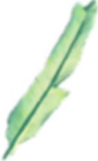 バナナの葉