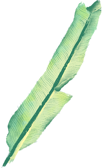 Banana Leaf