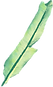 Feuille de banane