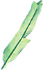 バナナの葉