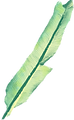 Foglia di banana