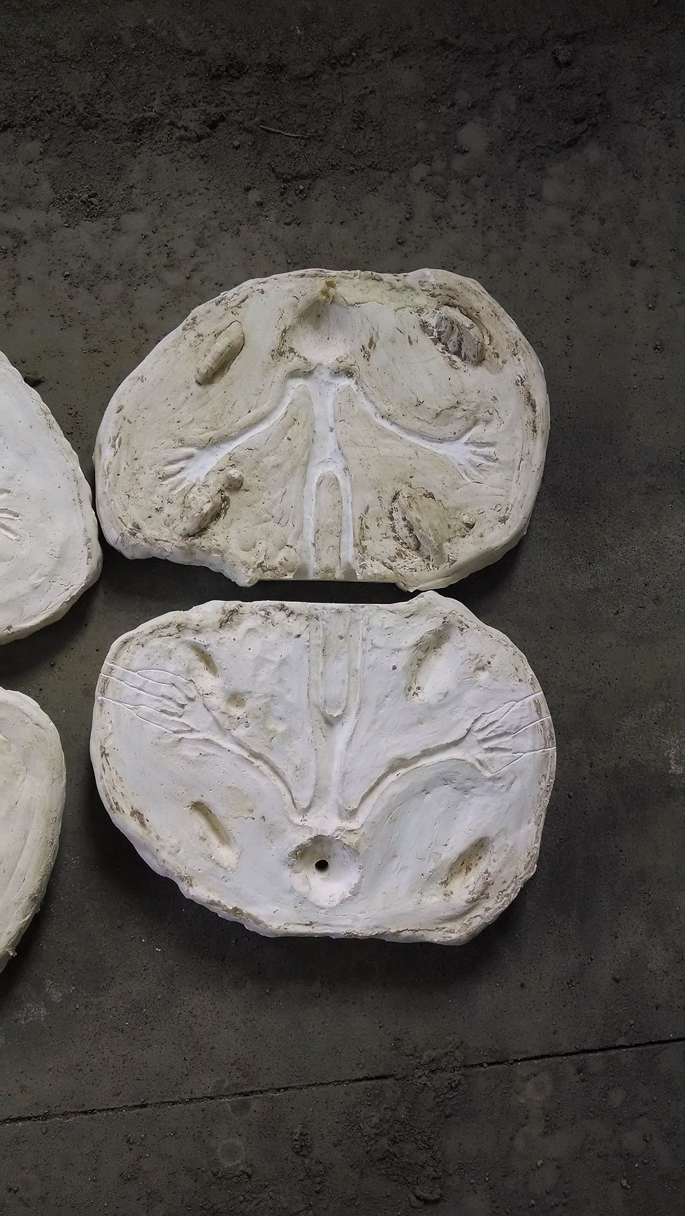 Foam Latex Mold