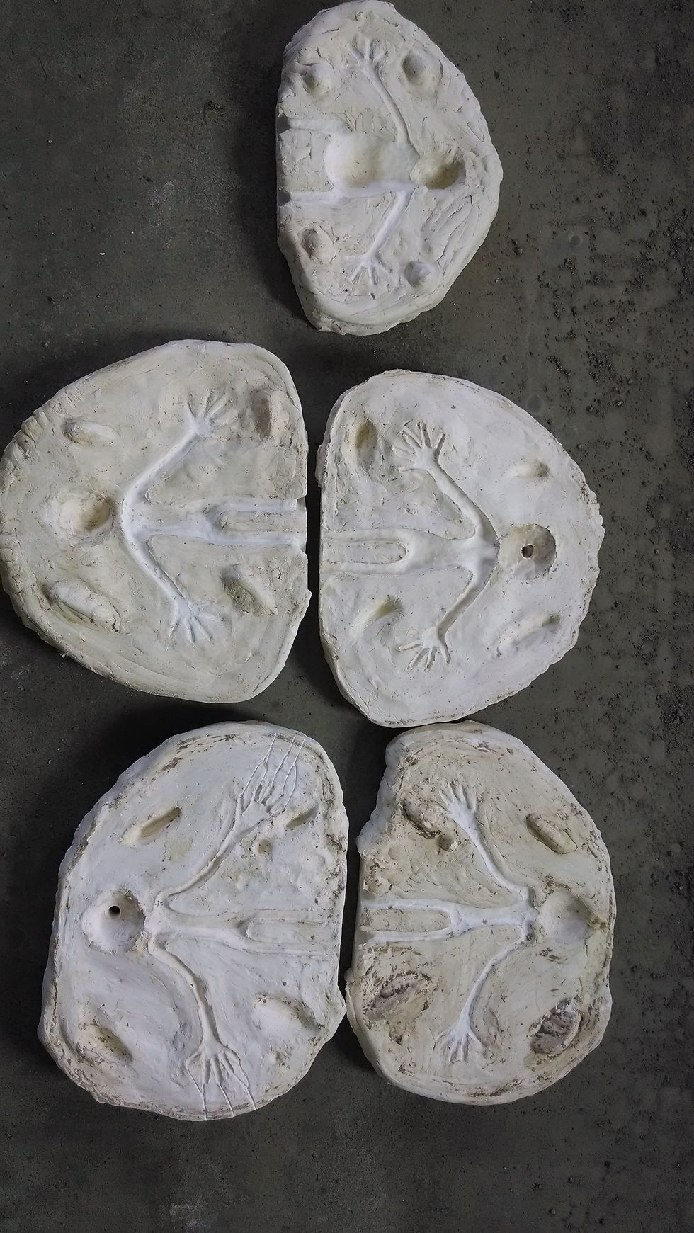 Foam Latex Molds
