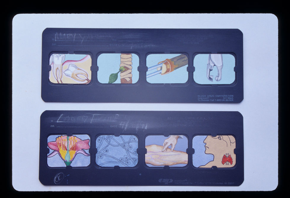 Impaction,  Fundamentals (Truth nos. 011,016)