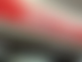 【レビュー】ウェンディーズ・ファーストキッチン「ビッグフィッシュバーガー」