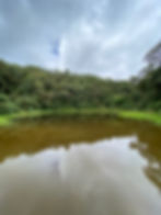 Enchanted Lagoon – Hidden Gem Near MedellIn