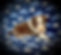 tops b3 6625_edited.jpg