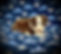 tops b2 6625_edited.jpg