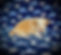 tops b1 6625_edited.jpg