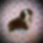 tops g2 6625_edited.jpg