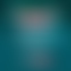 Online Dialogue on Peace in Eastern DRC – February 27, 2026