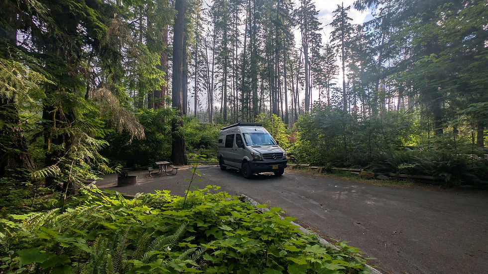Our campsite at Susan's Creek!