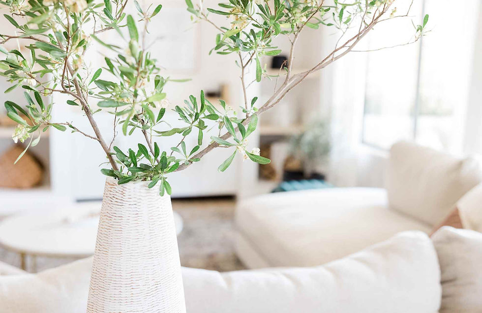 mondolfo-interior-design-san-francisco-ca-designing-a-home-that-adapts-to-every-stage-of-life-full-service-interior-design