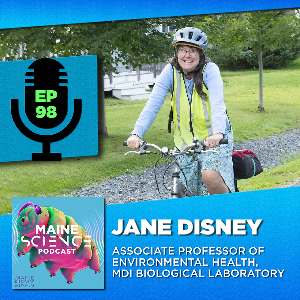 Maine Science Podcast - Jane Disney, episode 98