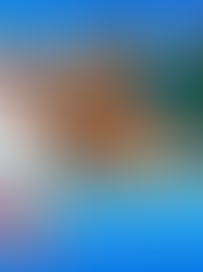 Maine Science Podcast - Bob Duchesne, episode 92