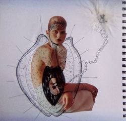 del proyecto "la planta cruel"