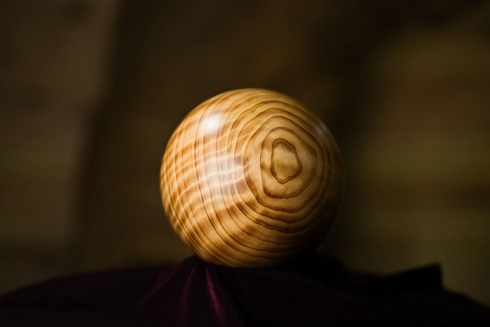 Thumbnail: Yakusugi pearl