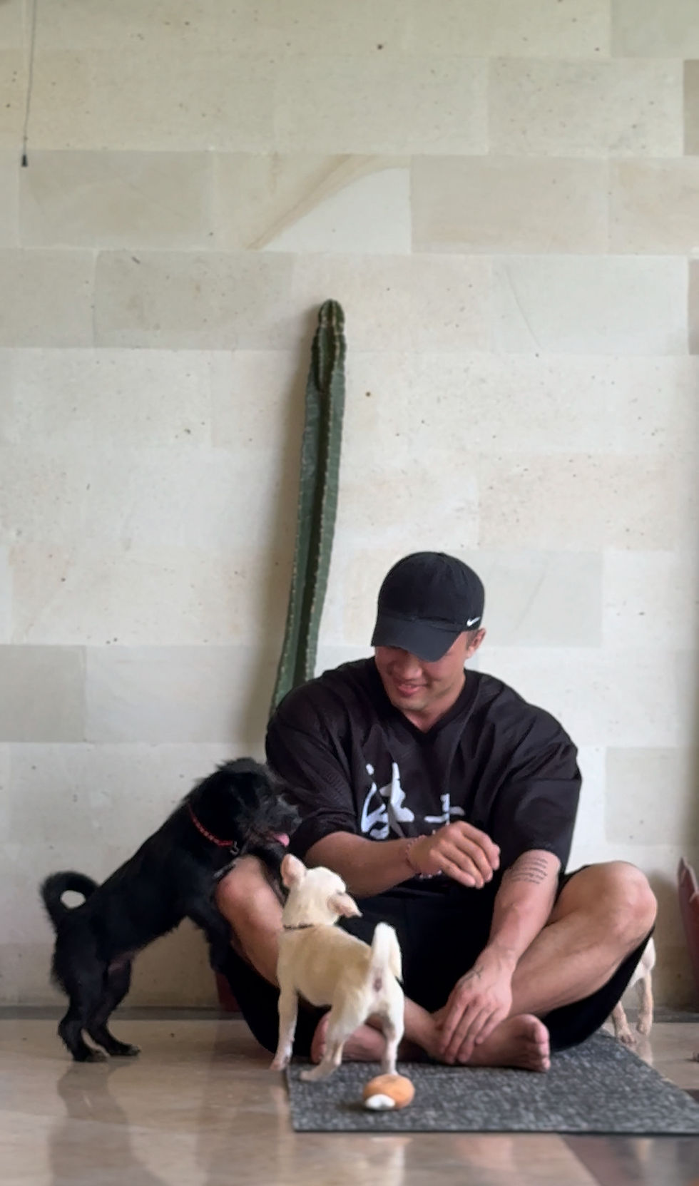 8th January 6 PM Puppy Yoga Afternoon Canggu