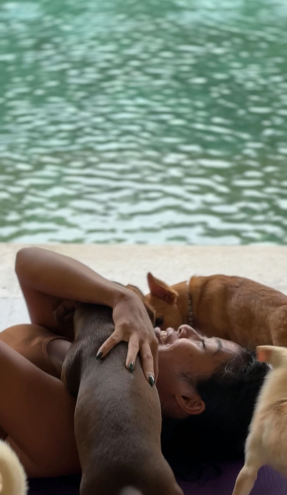 18th January 11:15 AM Puppy Yoga Morning Canggu