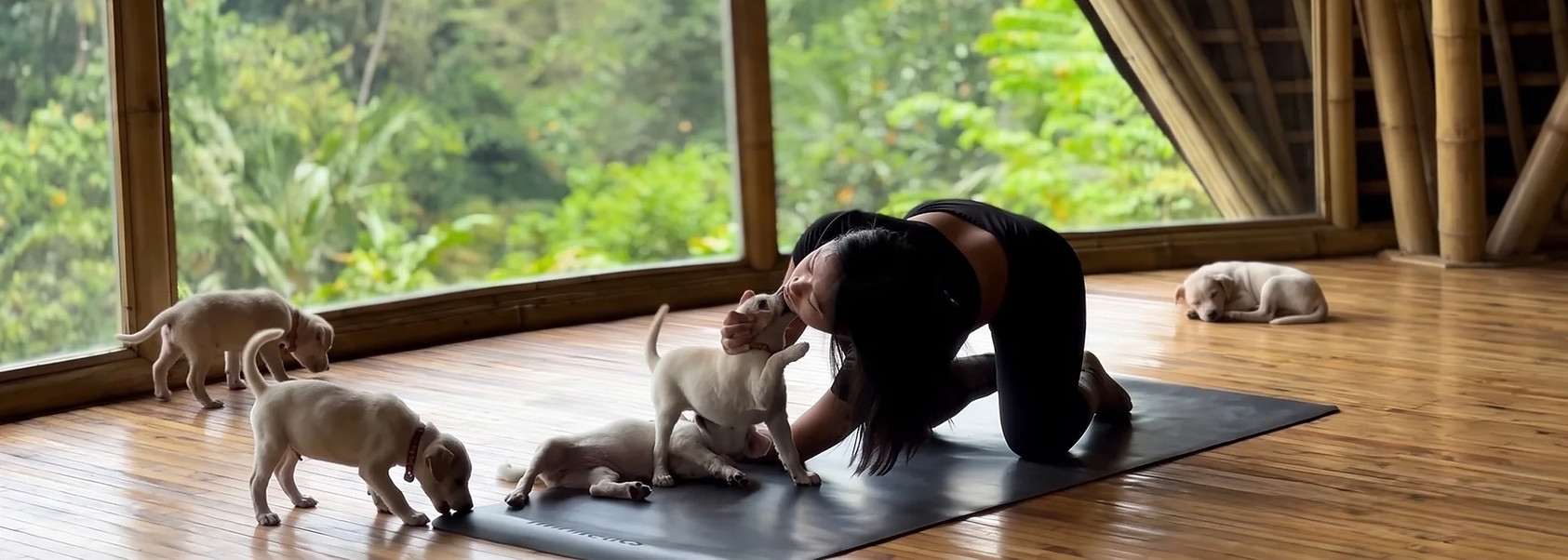 puppy yoga ubud