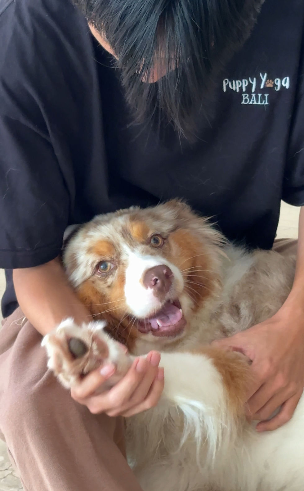 11th January 9:30 AM Puppy Yoga Morning Canggu