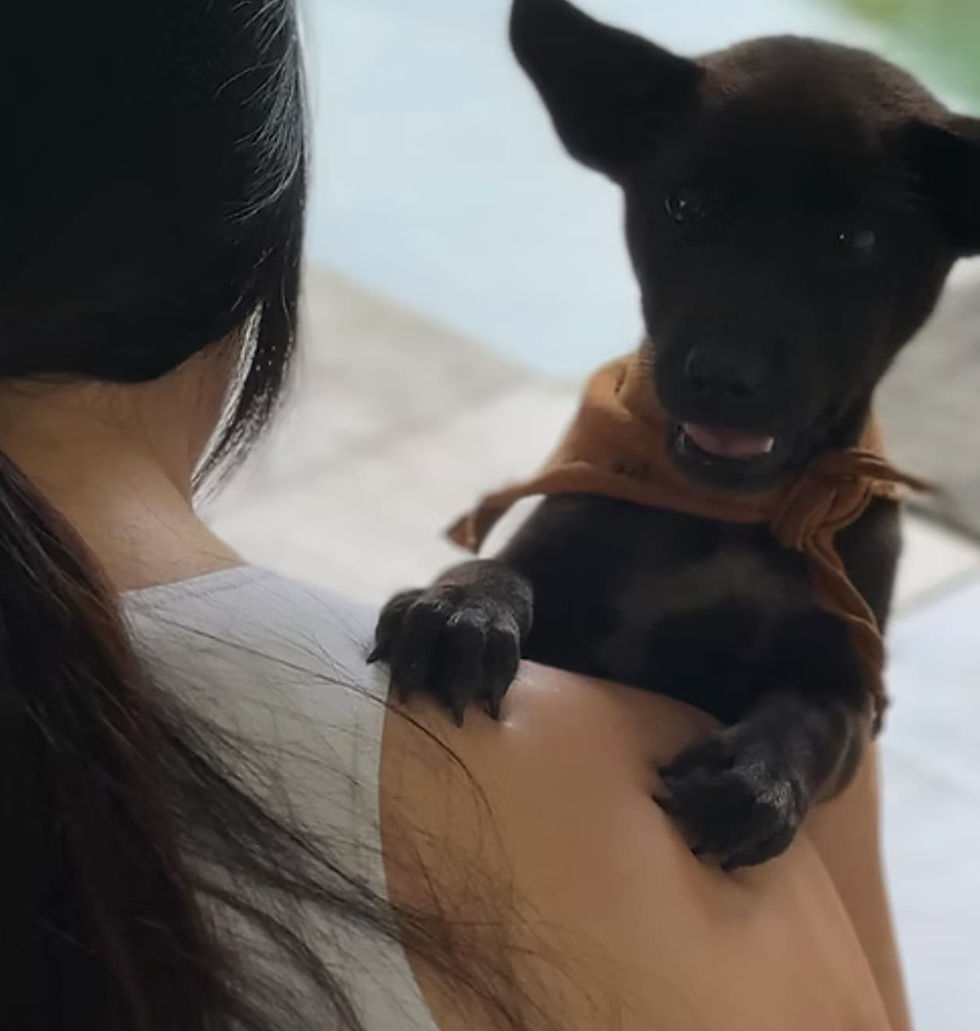 2nd May 3PM Puppy Yoga Bali - Canggu