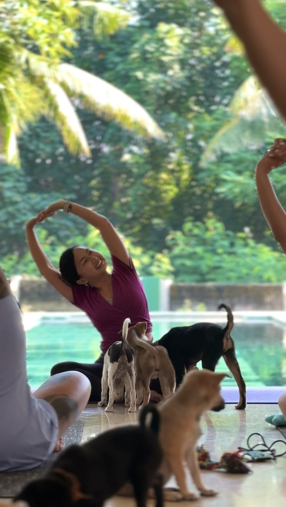 10th January 4.45 PM Puppy Yoga Afternoon Canggu