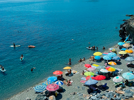 "Palmi alla" kolimisest
