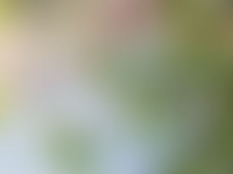 Emotsionaalne vabadus