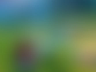 Suvelaagrite galerii ja melu