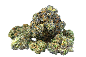 Cannabis Strain Closeup Sherbet_edited_e