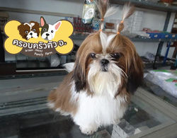แม่ไข่ตุ๋น
