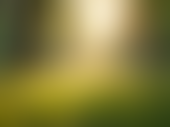 Entendendo Padrões Emocionais: Apoio para Mulheres Adultas