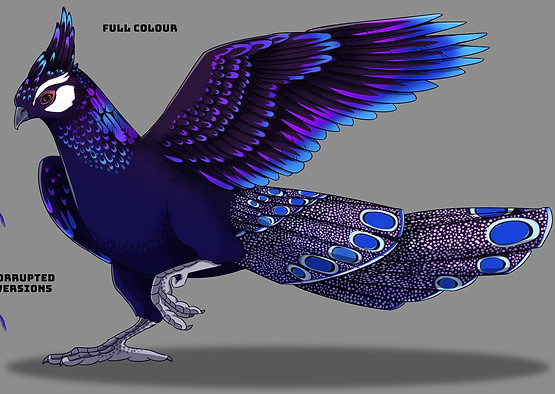 Pheasant.jpg
