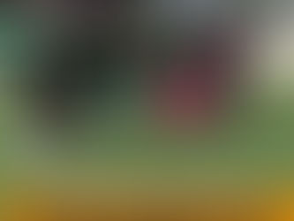 EL MONTAURA QUIERE LA LIGA