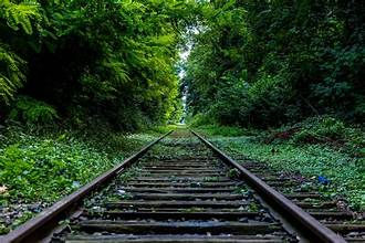sample image.jpg