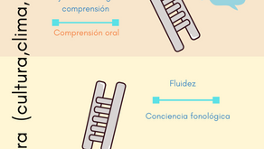 Etapa de lectoescritura emergente y lectoescritura inicial